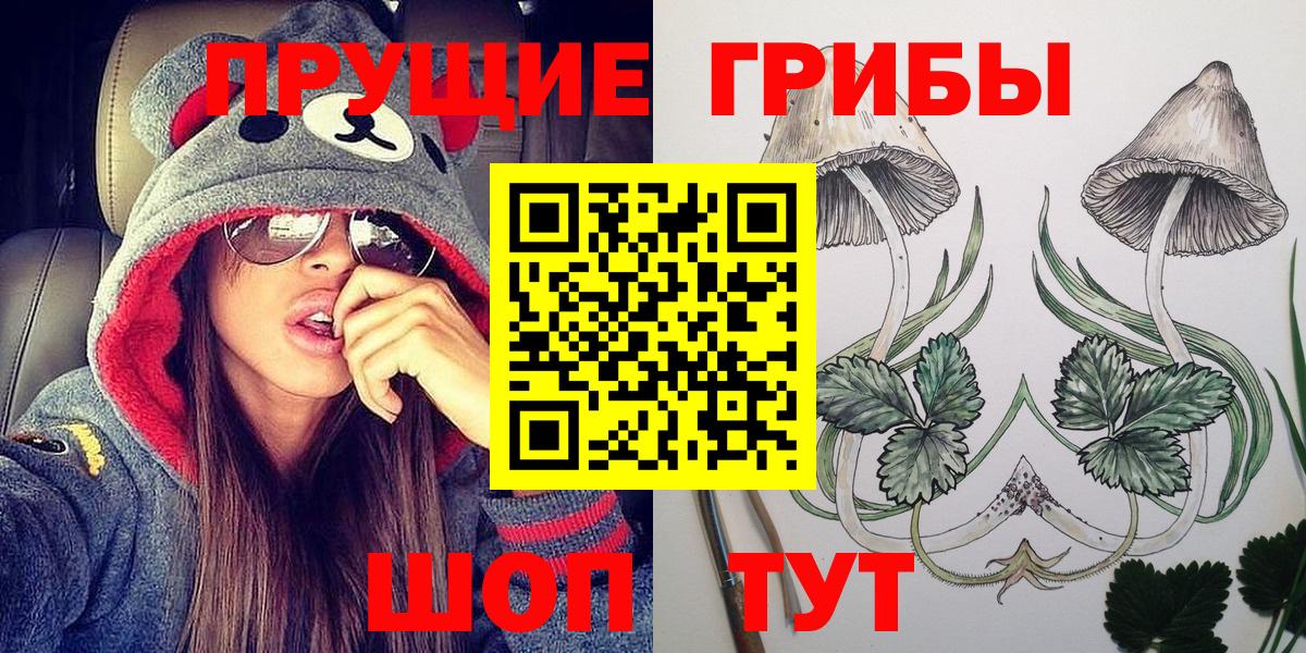 Нальчик  Галлюциногенные грибы Psilocybe  Вход с VPN 